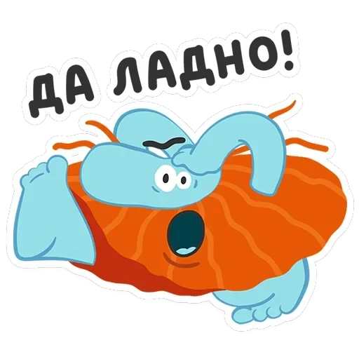 Бодо Бородо — 30