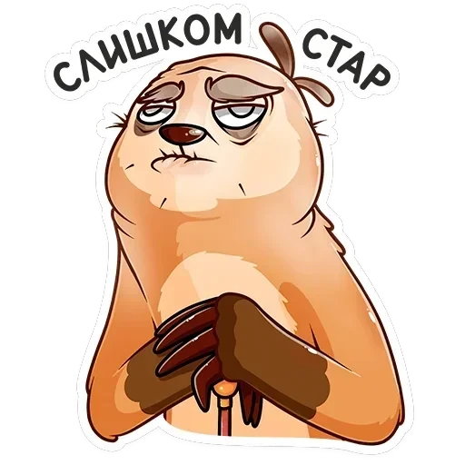 Бодрый Эл — 29