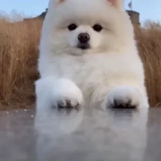 Больше стикеров тут: @stikery_emodzi_memy — 2