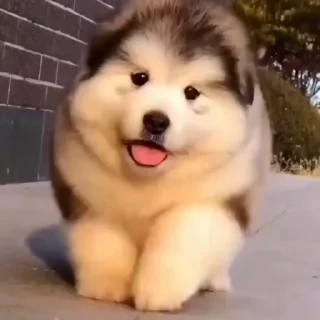 Больше стикеров тут: @stikery_emodzi_memy — 19