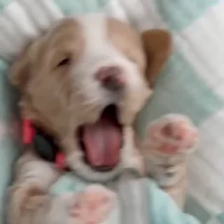 Больше стикеров тут: @stikery_emodzi_memy — 22