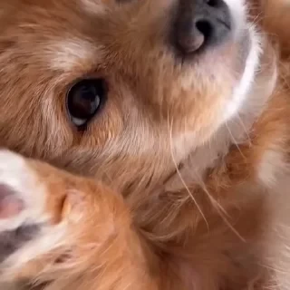 Больше стикеров тут: @stikery_emodzi_memy — 25