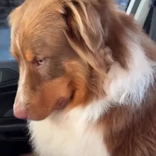 Больше стикеров тут: @stikery_emodzi_memy — 27