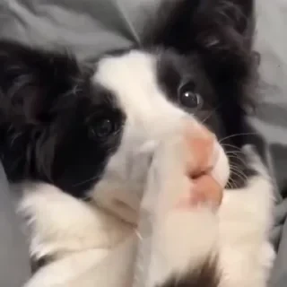 Больше стикеров тут: @stikery_emodzi_memy — 29
