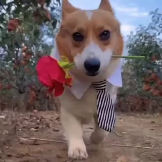 Больше стикеров тут: @stikery_emodzi_memy — 4