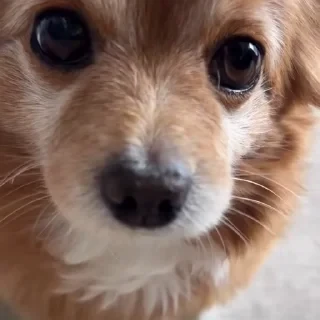 Больше стикеров тут: @stikery_emodzi_memy — 31