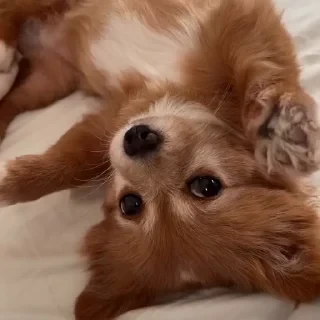 Больше стикеров тут: @stikery_emodzi_memy — 32