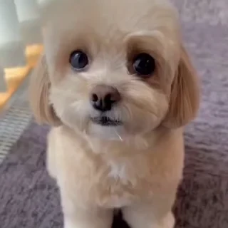 Больше стикеров тут: @stikery_emodzi_memy — 6