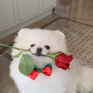 Больше стикеров тут: @stikery_emodzi_memy — 7