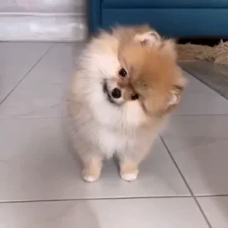Больше стикеров тут: @stikery_emodzi_memy — 8