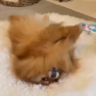 Больше стикеров тут: @stikery_emodzi_memy — 9