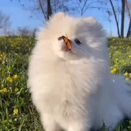 Больше стикеров тут: @stikery_emodzi_memy