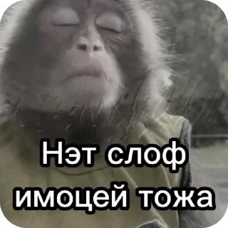 Больше стикеров тут: @stikery_emodzi_memy — 1