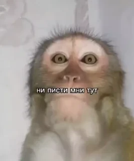 Больше стикеров тут: @stikery_emodzi_memy — 2