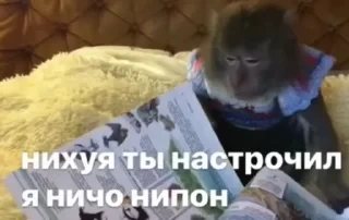 Больше стикеров тут: @stikery_emodzi_memy — 12