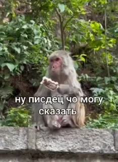 Больше стикеров тут: @stikery_emodzi_memy — 16