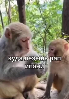 Больше стикеров тут: @stikery_emodzi_memy — 17
