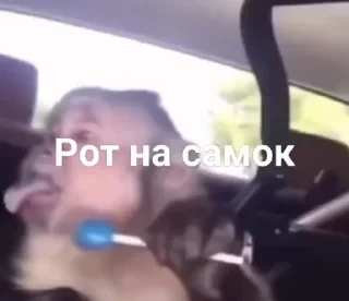 Больше стикеров тут: @stikery_emodzi_memy — 20