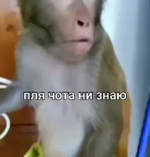 Больше стикеров тут: @stikery_emodzi_memy — 22