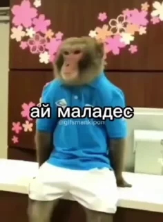 Больше стикеров тут: @stikery_emodzi_memy — 23