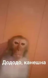 Больше стикеров тут: @stikery_emodzi_memy — 24