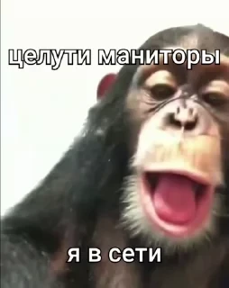 Больше стикеров тут: @stikery_emodzi_memy — 26