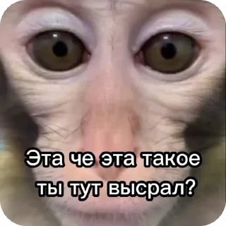 Больше стикеров тут: @stikery_emodzi_memy — 30