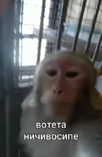 Больше стикеров тут: @stikery_emodzi_memy — 4