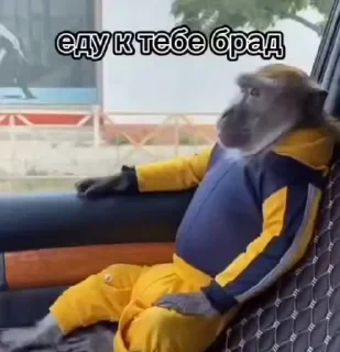 Больше стикеров тут: @stikery_emodzi_memy — 32