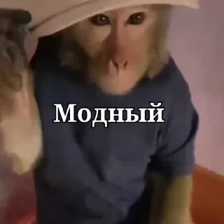 Больше стикеров тут: @stikery_emodzi_memy — 35