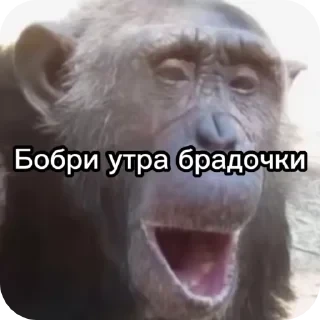 Больше стикеров тут: @stikery_emodzi_memy — 37