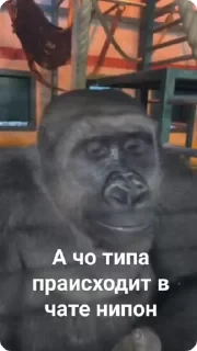 Больше стикеров тут: @stikery_emodzi_memy — 38