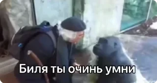 Больше стикеров тут: @stikery_emodzi_memy — 39