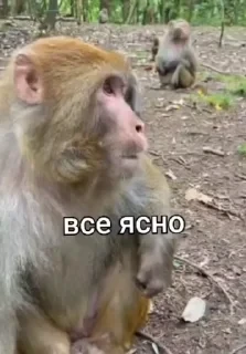 Больше стикеров тут: @stikery_emodzi_memy — 5