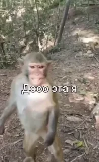 Больше стикеров тут: @stikery_emodzi_memy — 42