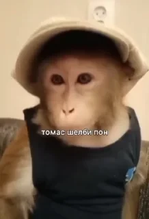 Больше стикеров тут: @stikery_emodzi_memy — 43