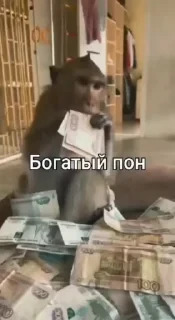 Больше стикеров тут: @stikery_emodzi_memy — 44