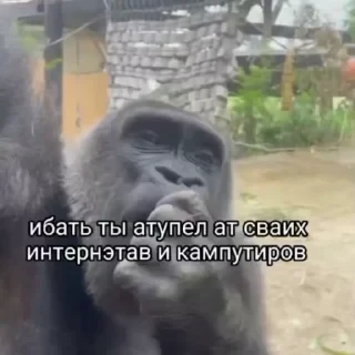Больше стикеров тут: @stikery_emodzi_memy — 45
