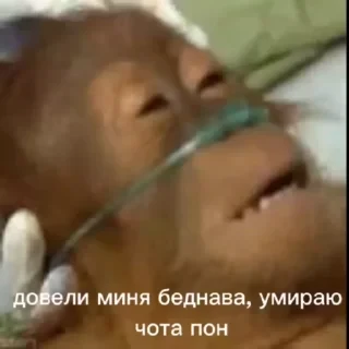 Больше стикеров тут: @stikery_emodzi_memy — 46