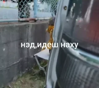 Больше стикеров тут: @stikery_emodzi_memy — 47