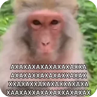 Больше стикеров тут: @stikery_emodzi_memy — 50