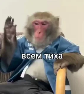 Больше стикеров тут: @stikery_emodzi_memy — 7