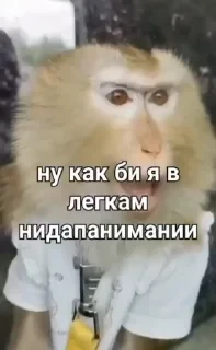 Больше стикеров тут: @stikery_emodzi_memy — 8