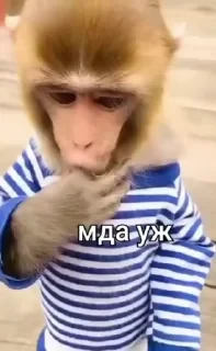 Больше стикеров тут: @stikery_emodzi_memy — 9