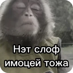 Больше стикеров тут: @stikery_emodzi_memy