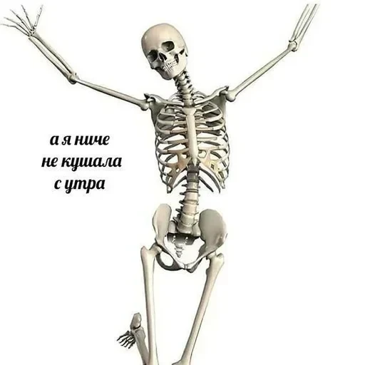 Больше стикеров тут — 36