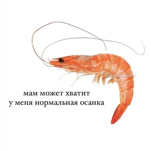 Больше стикеров тут — 8