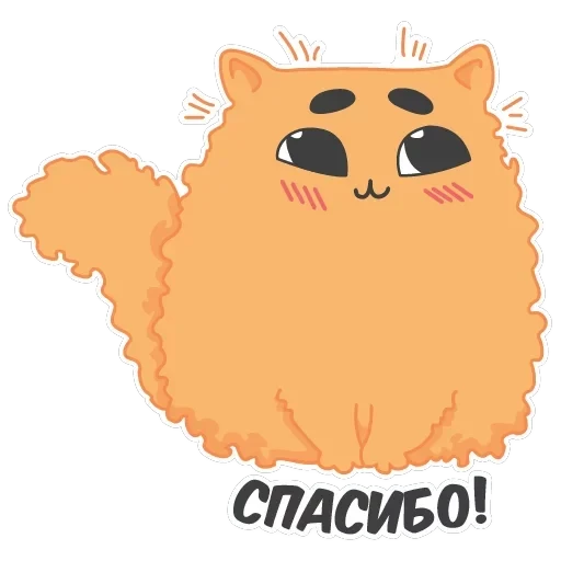 Бонифаций — 23