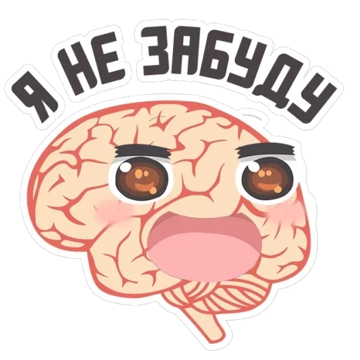 🔥Brains — 16