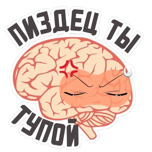 🔥Brains — 24